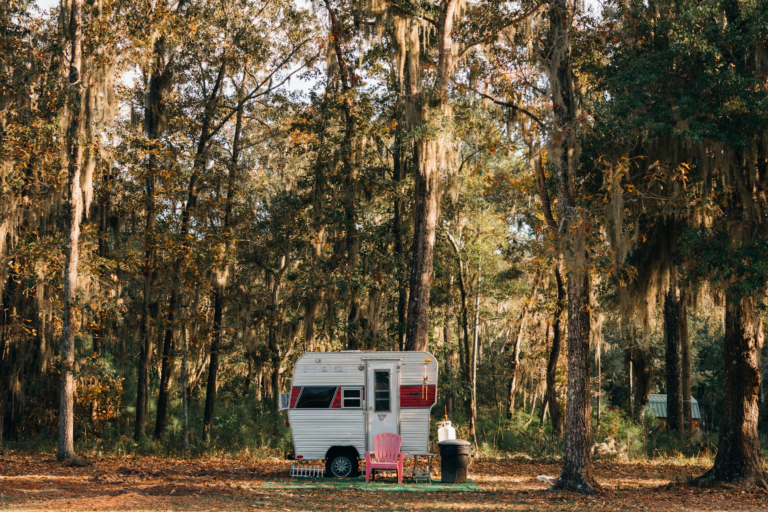 RV campsite surrounded by tall trees in a peaceful nature campground.